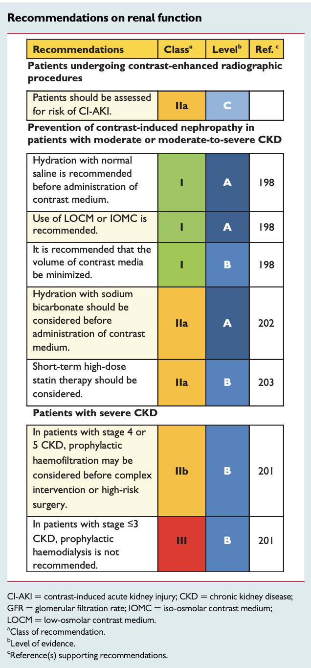Recommendations on renal function