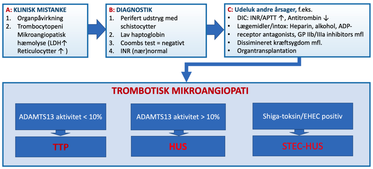 Figur 2: Flowchart for diagnostik af trombotiske mikroangiopatier