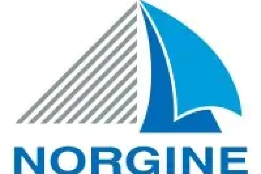 Norgine billede til tekst til hjemmeside